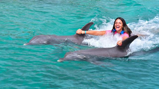 Dolphin Swim & Snorkel + Monkeys & Sloths