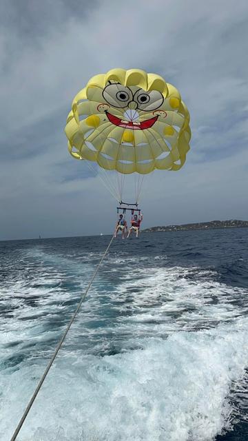 Parasailing + Monkeys & Sloths